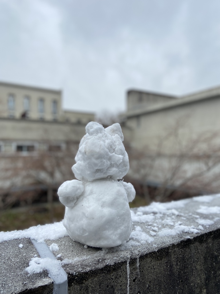 Guchiさんの この一枚「神学校のある神戸北区は2cmほどの積雪となりました。<br>早速、雪だるま作成」