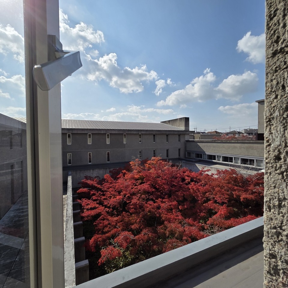 よきかなさんの この一枚「紅葉もラストスパートです。」