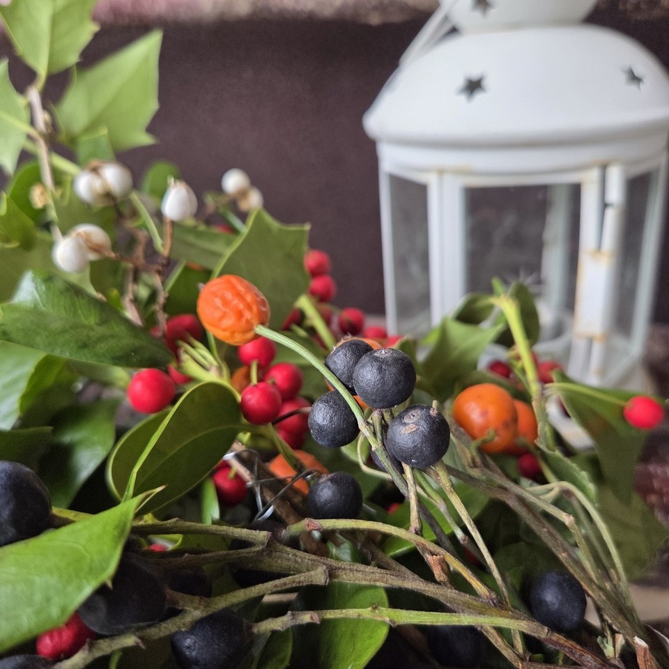 よきかなさんの この一枚「カモンちゃんに先をこされました☺️メリークリスマス」