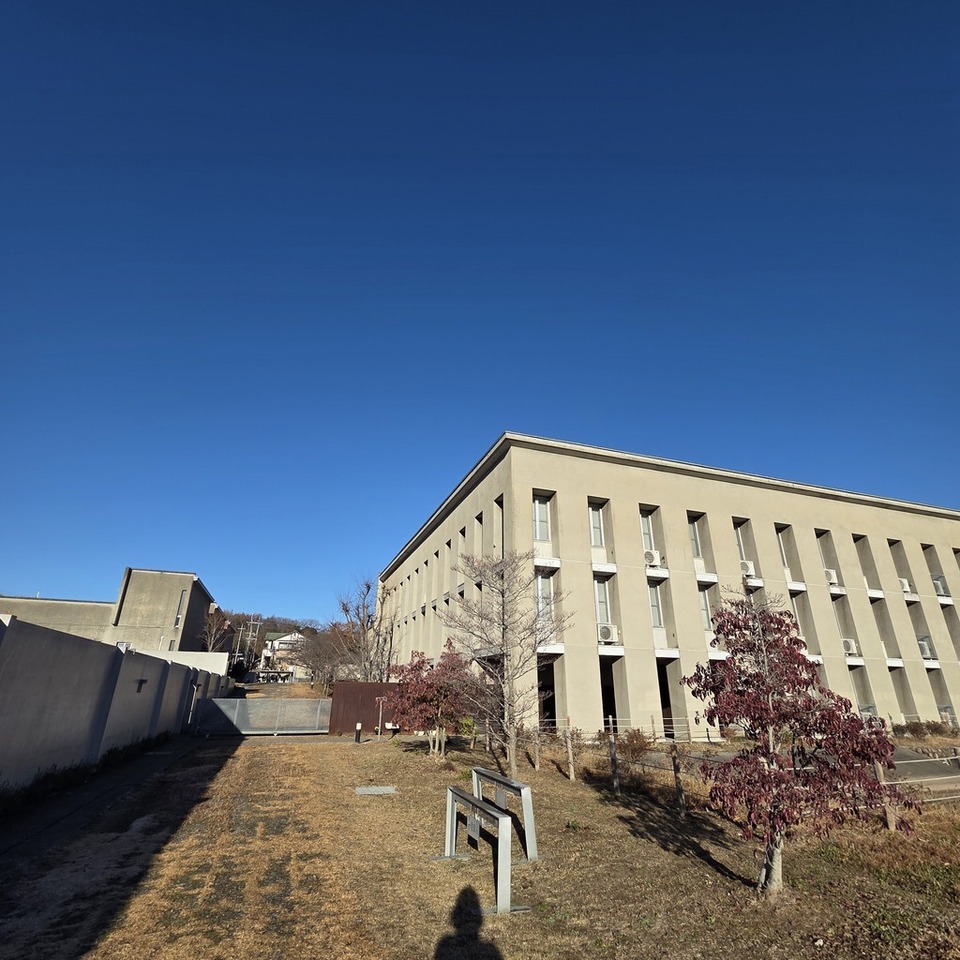 よきかなさんの この一枚「今日の朝は雲ひとつない青空でした。」