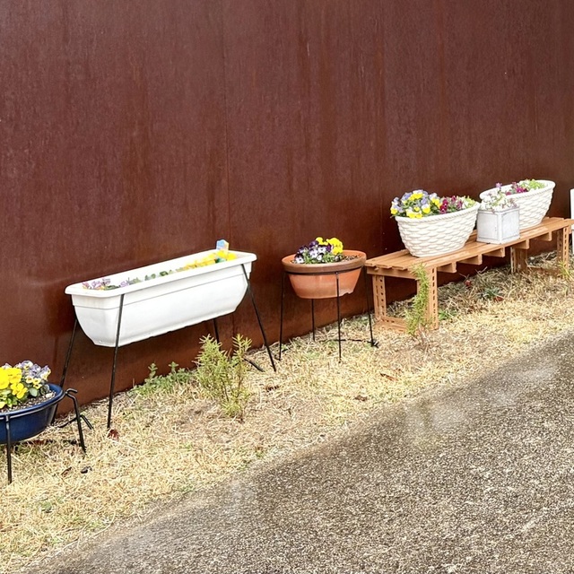 ひさしぶりの雨です☺︎